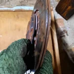 Honda cr-v 3 сцепление